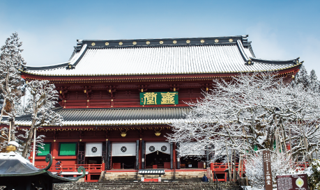 Walk through the temple and shrine area of 'World Heritage Nikko' with a guide.